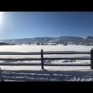 Meet your Posher, Lacy